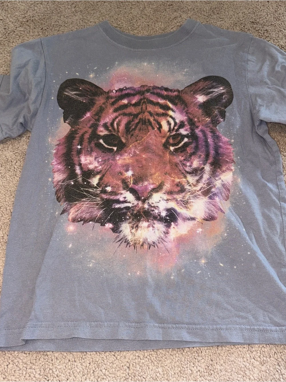 Boy’s Grey Children’s Place Graphic Tiger Tee Size: M